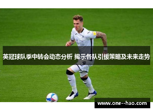 英冠球队季中转会动态分析 揭示各队引援策略及未来走势 英冠球队季中转会动态分析 揭示各队引援策略及未来走势